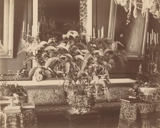 Intérieur, années 1860 (photo)