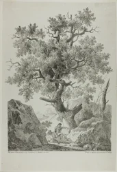 Artiste dans un paysage rocheux