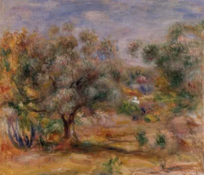 Olivier aux Collettes, vers 1910-15 (huile sur toile)