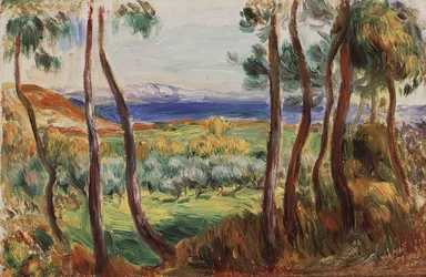Pins aux environs de Cagnes, c. 1910