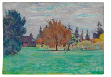Arbre Jaune, Le Cos au Grand-Lemps