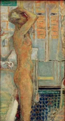 Nu gris de profil