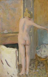 Nu devant une cheminée