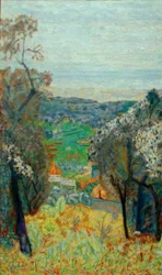 Paysage du Cannet