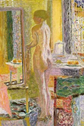 Nu devant un miroir