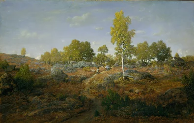 Un chemin parmi les rochers