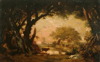 Clairière dans les bois de Fontainebleau