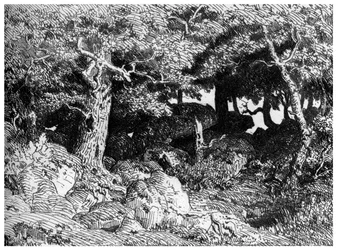 Les Chênes de Roche, vers 1832-1860, 1924