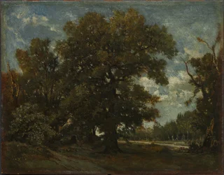 Le chêne, XIXe siècle.