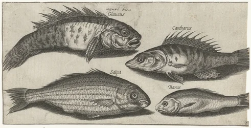 Poisson