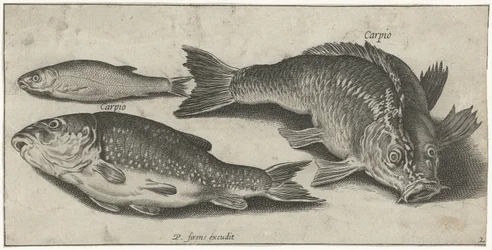 Trois carpes
