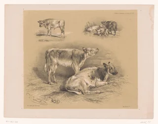Études d