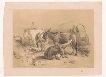 Étude de trois ânes