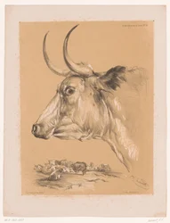 Étude d