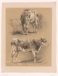 Deux études d