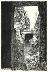 Dans le Bayon, aperçu à travers un toit effondré