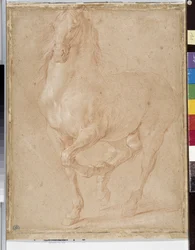 Étude de cheval