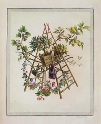 Un motif textile de jardin, de Oeuvre contenant un Receuil de Trophees, Attributs, Cartouches, Vases, Fleurs, Ornemens, et Plusieurs Dessins agréables pour broder des Fauteuils, gravé par Etienne C
