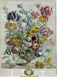 Avril, de "Douze mois de fleurs"
