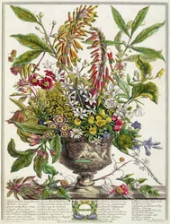 Janvier, de 