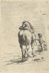 Cheval sellé attaché à un poteau