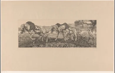 Chevaux labourant