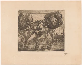 Chevaux de trait près de la Seine à Paris