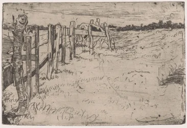 Vache broutant près d