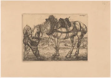 Homme nourrissant un cheval avec un seau