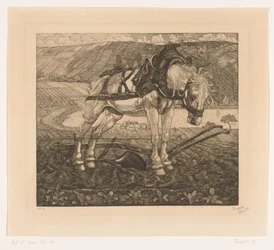 Cheval labourant sur une colline