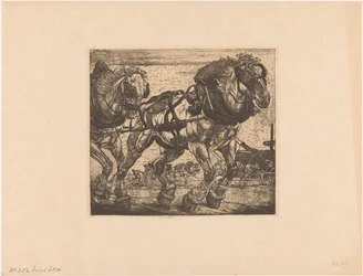 Chevaux de trait près de la Seine à Paris
