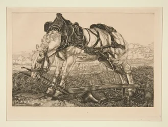 Cheval de travail