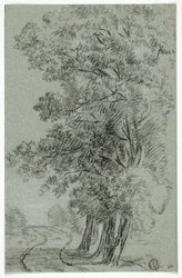 Route passant par des arbres