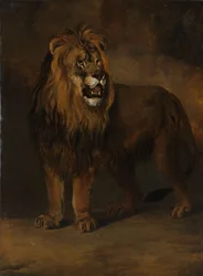 Un lion de la ménagerie du roi Louis Napoléon