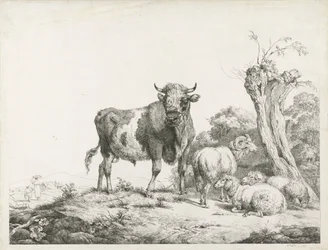 Un taureau, un bélier et deux moutons couchés près d