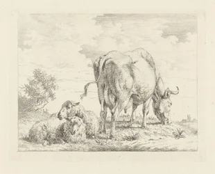 Vache avec deux moutons
