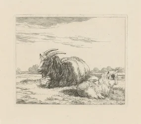 Chèvre couchée et chevreau (Moutons et chèvres)