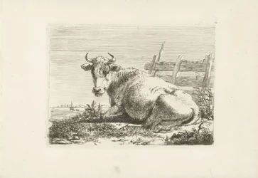 Vache couchée près d