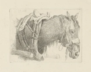 Étude d