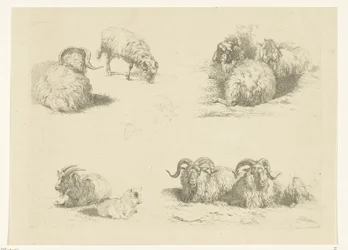 Quatre scènes avec des moutons et des chèvres
