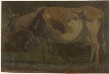 Vache debout, vers la gauche