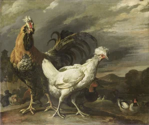 Coq