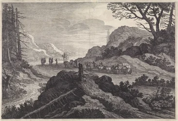 Ânes de bât sur une route