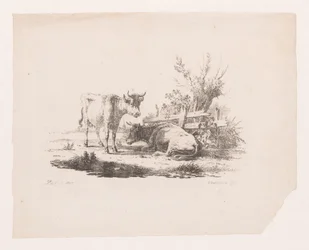 Deux vaches près d