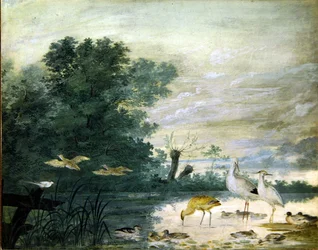 Oiseaux exotiques dans un paysage pittoresque