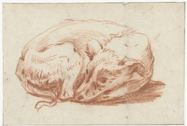 Chien couché