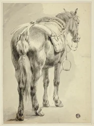 Cheval de selle
