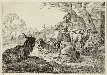 Sheperdess parmi les chèvres et les moutons
