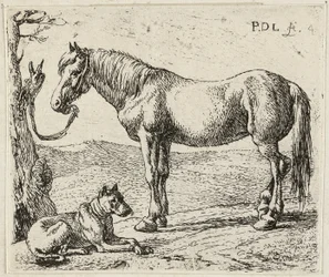 Le cheval et le chien