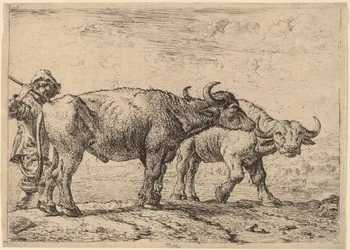 Deux buffles et un berger